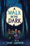 Book cover of WALK IN THE DARK