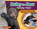 Book cover of BAILEY THE BEAR NEEDS HELP