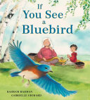 Book cover of IF YOU SEE A BLUEBIRD