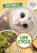 Book cover of OWL'S LIFE CYCLE
