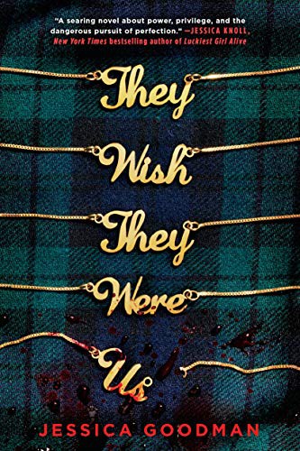 Book cover of THEY WISH THEY WERE US