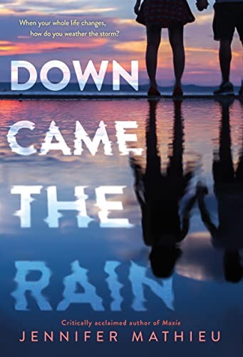Book cover of DOWN CAME THE RAIN
