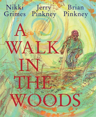 Book cover of WALK IN THE WOODS