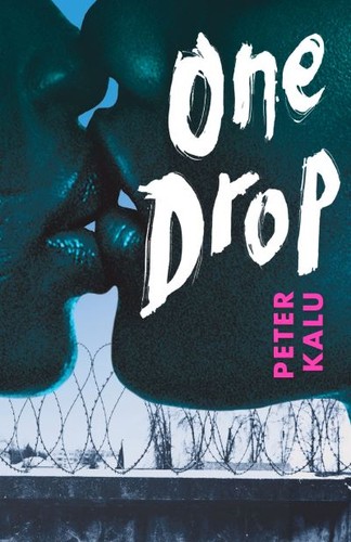 Book cover of 1 DROP