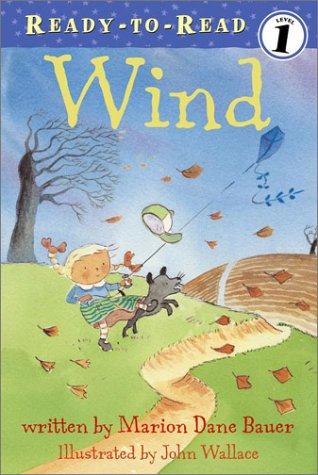Book cover of WIND