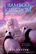 Book cover of BAMBOO KINGDOM 03 JOURNEY TO THE DRAGON