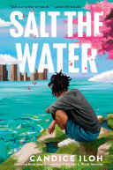 Book cover of SALT THE WATER
