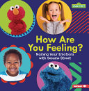 Book cover of SESAME STREET - HOW ARE YOU FEELING