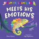 Book cover of CAM THE CHAMELEON MEETS HIS EMOTIONS