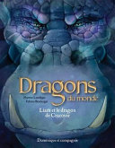 Book cover of DRAGONS DU MONDE - LIAM ET LE DRAGON DE