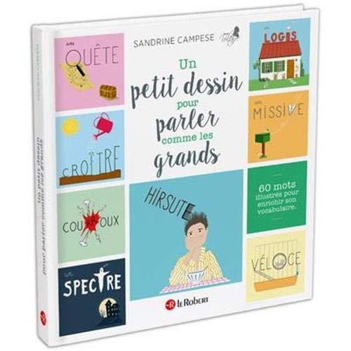 Book cover of PETIT DESSIN POUR PARLER COMME LES GRANDS