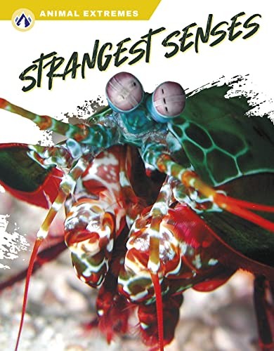 Book cover of ANIMAL EXTREMES - STRANGEST SENSES