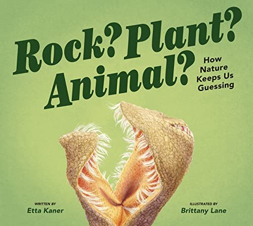 Book cover of ROCK? PLANT? ANIMAL? - HOW NATURE KEEPS US GUESSING