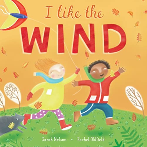 Book cover of I LIKE THE WIND