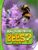Book cover of WHY DO WE NEED BEES