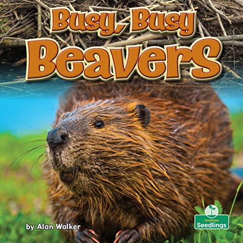 Book cover of BUSY BUSY BEAVERS