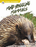 Book cover of ANIMAL EXTREMES - MIND-BOGGLING MAMMALS