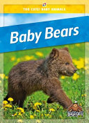 Book cover of BABY BEARS