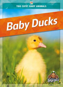 Book cover of BABY DUCKS
