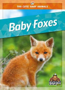 Book cover of BABY FOXES
