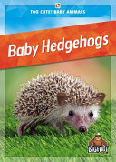 Book cover of BABY HEDGEHOGS