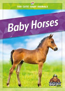 Book cover of BABY HORSES