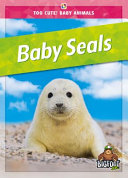 Book cover of BABY SEALS