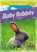 Book cover of BABY RABBITS