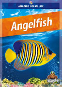 Book cover of AMAZING OCEAN LIFE - ANGELFISH