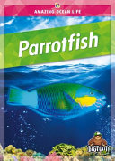 Book cover of AMAZING OCEAN LIFE - PARROTFISH