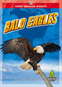 Book cover of BALD EAGLES