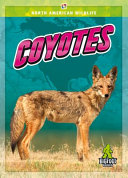 Book cover of COYOTES