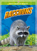 Book cover of RACCOONS