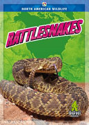 Book cover of RATTLESNAKES