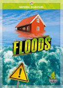 Book cover of NATURAL DISASTERS - FLOODS