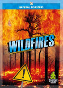 Book cover of NATURAL DISASTERS - WILDFIRES