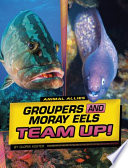Book cover of ANIMAL ALLIES - GROUPERS & MORAY EELS