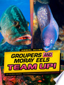 Book cover of ANIMAL ALLIES - GROUPERS & MORAY EELS