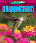 Book cover of HUMMINGBIRD