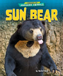 Book cover of SUN BEAR
