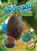 Book cover of SEE AN AVOCADO GROW