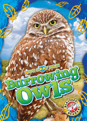 Book cover of WHO'S HOO - BURROWING OWLS