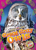 Book cover of WHO'S HOO - GREAT GRAY OWLS