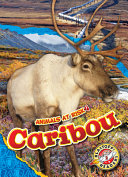 Book cover of ANIMALS AT RISK - CARIBOU