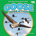Book cover of GOOSE MIGRATION