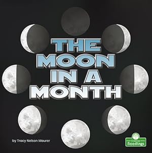 Book cover of MOON IN A MONTH