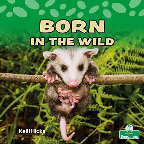Book cover of BORN IN THE WILD