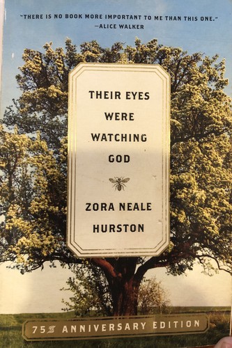 Book cover of THEIR EYES WERE WATCHING GOD
