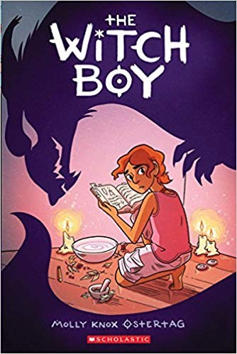 Book cover of WITCH BOY 01