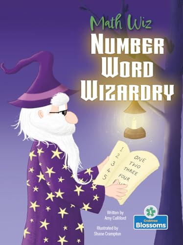 Book cover of NUMBER WORD WIZARDRY
